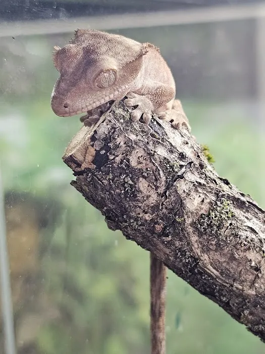 More Than Fish Aquarium and Pets Picture 7