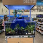 Petco