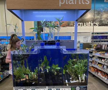 Petco