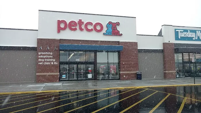 Petco Picture 4