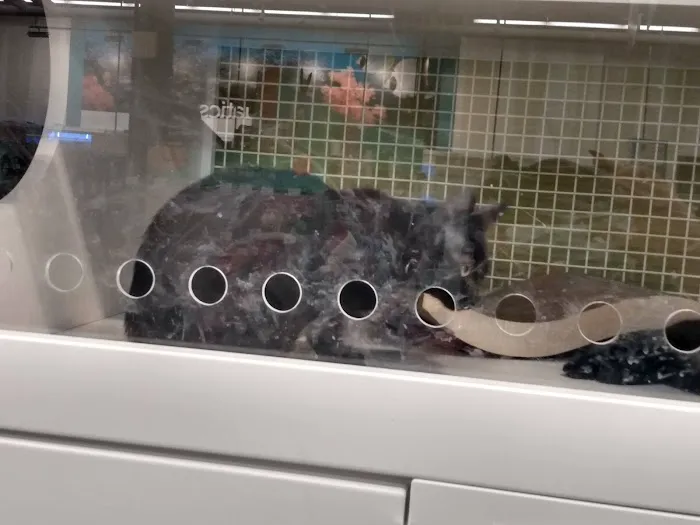 Petco Picture 5