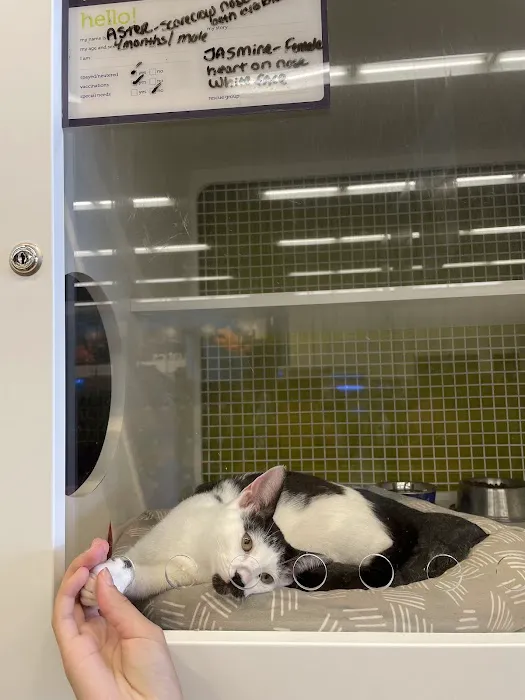 Petco Picture 8
