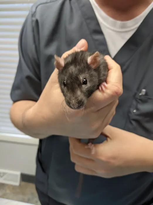 Lenape Veterinary Clinic Picture 5