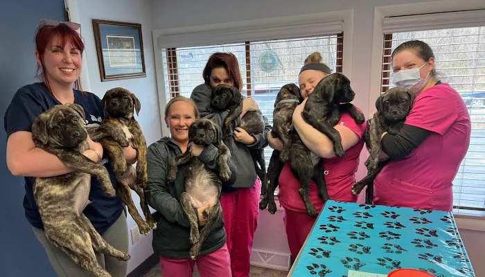 Lenape Veterinary Clinic Picture 10