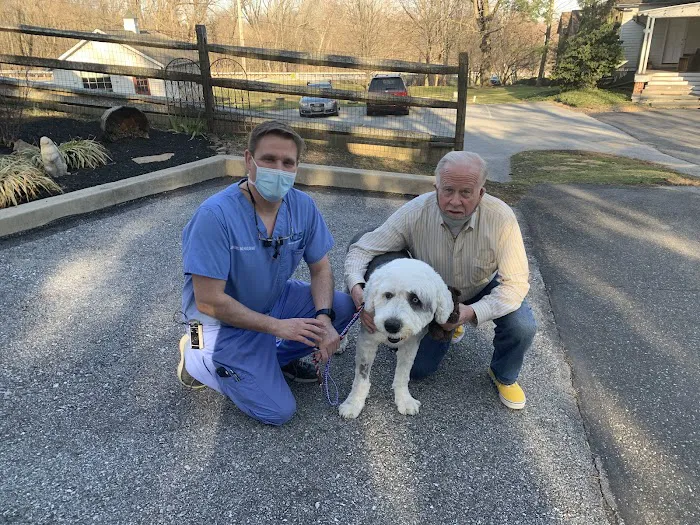 Veterinary Dentistry Specialists Picture 2