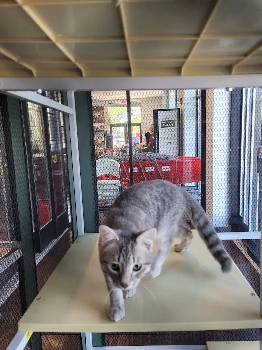 Pets Plus - Lansdale Picture 3