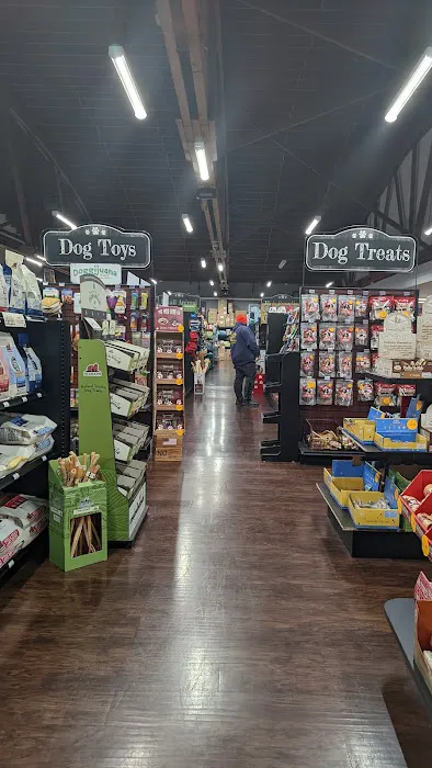 Pets Plus - Lansdale Picture 2
