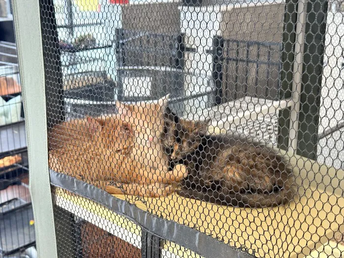 Pets Plus - Lansdale Picture 10
