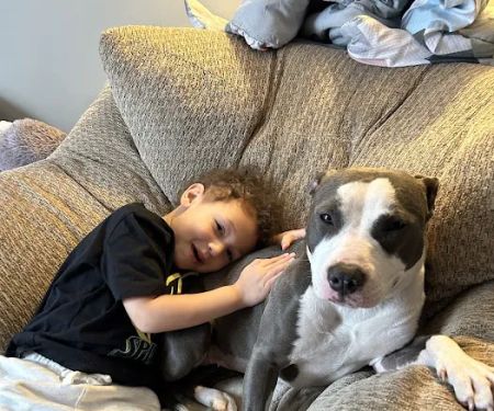Brandywine Valley SPCA Animal Health Center | Malvern