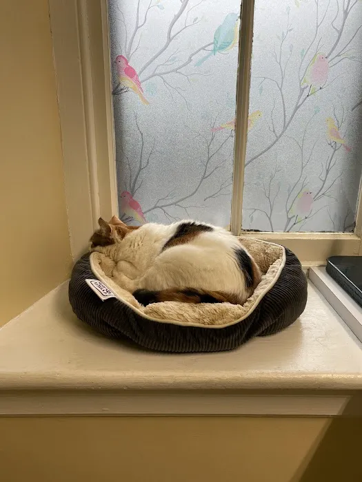 Affinity Veterinary Center of Malvern Picture 7
