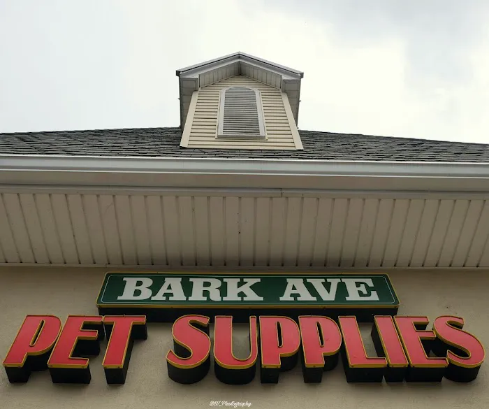 Bark Ave Pet Supplies Picture 3