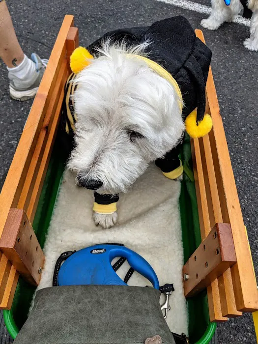 Bark Ave Pet Supplies Picture 2