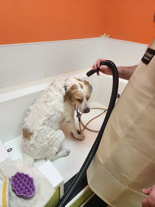 Bark Ave Pet Supplies Picture 1
