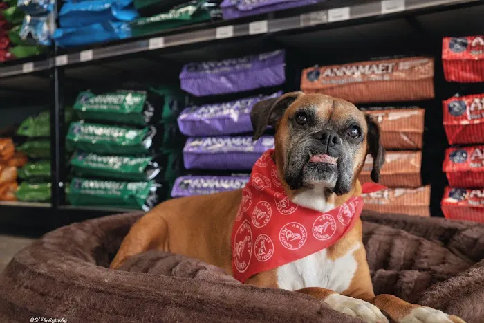 Bark Ave Pet Supplies Picture 10