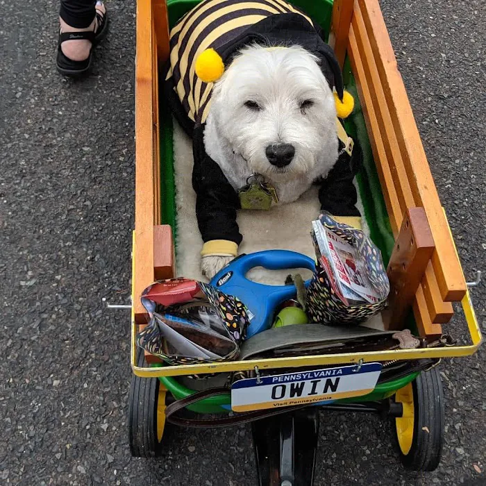 Bark Ave Pet Supplies Picture 9