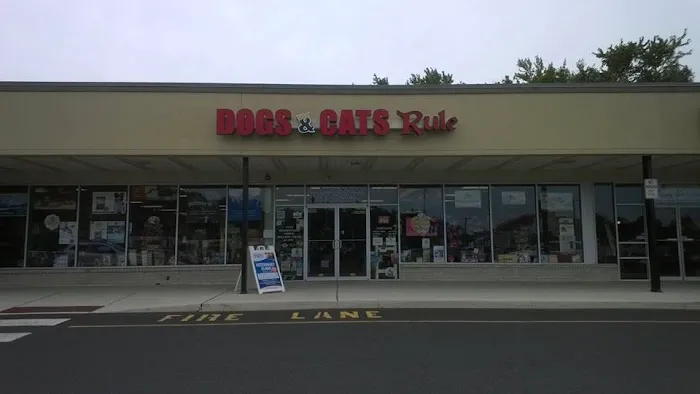 Dogs & Cats Rule Picture 1