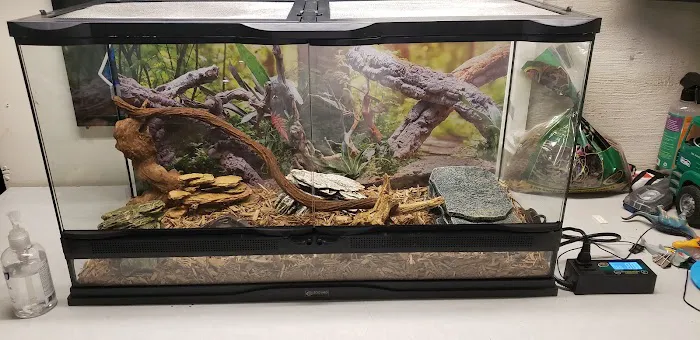 Cold Blooded Kingdom Picture 1