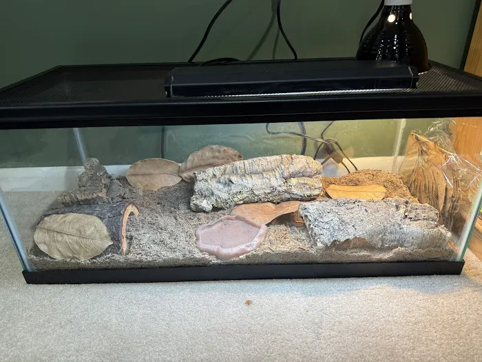 Cold Blooded Kingdom Picture 6