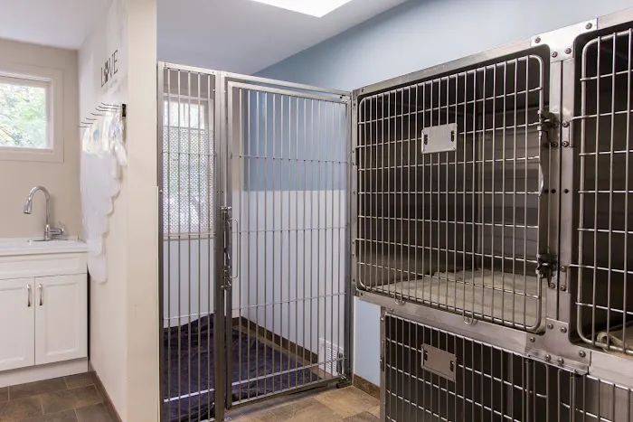 HousePaws Mobile Veterinary Service of Morrisville Picture 5