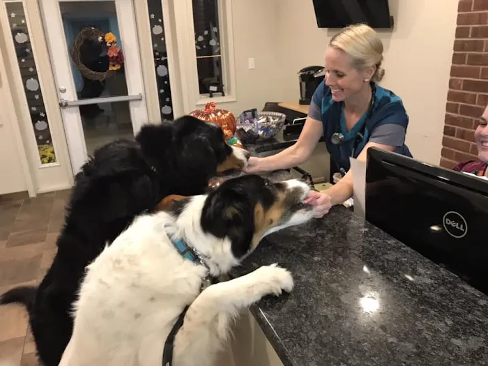 HousePaws Mobile Veterinary Service of Morrisville Picture 2