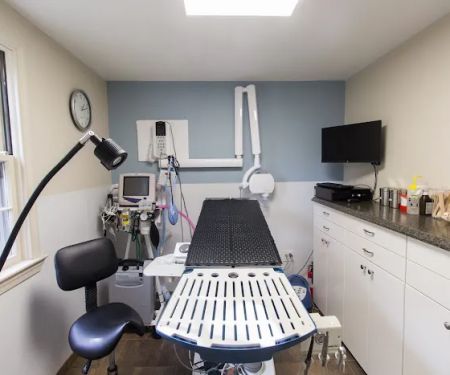 HousePaws Mobile Veterinary Service of Morrisville
