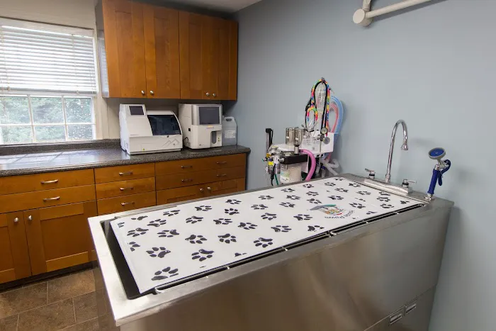 HousePaws Mobile Veterinary Service of Morrisville Picture 6
