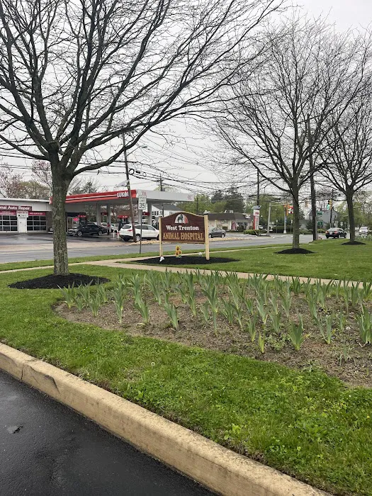 West Trenton Animal Hospital Picture 8