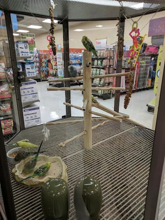 Petco Picture 6