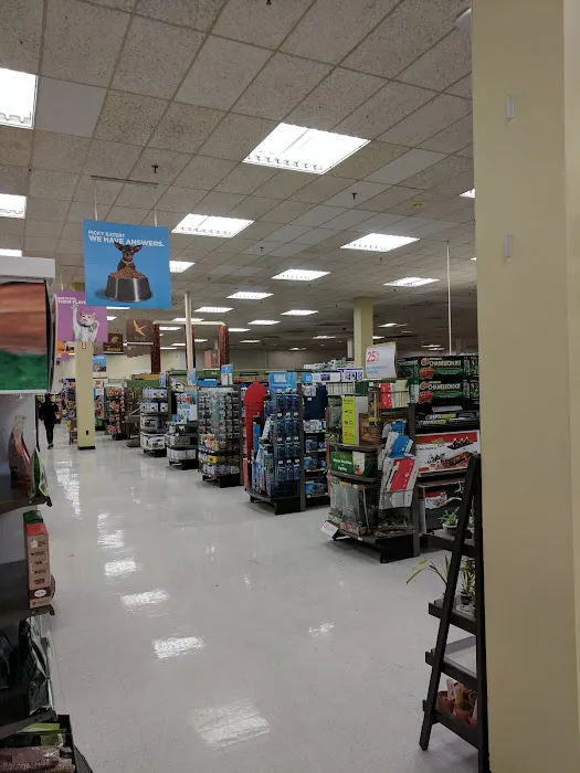 Petco Picture 7