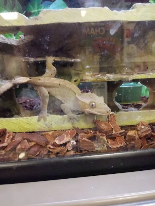 Petco Picture 10