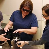 Chesterfield Veterinary Clinic ico