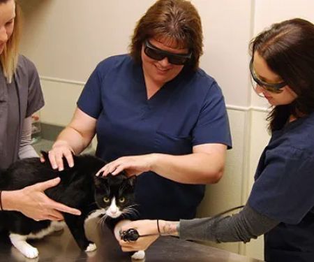 Chesterfield Veterinary Clinic
