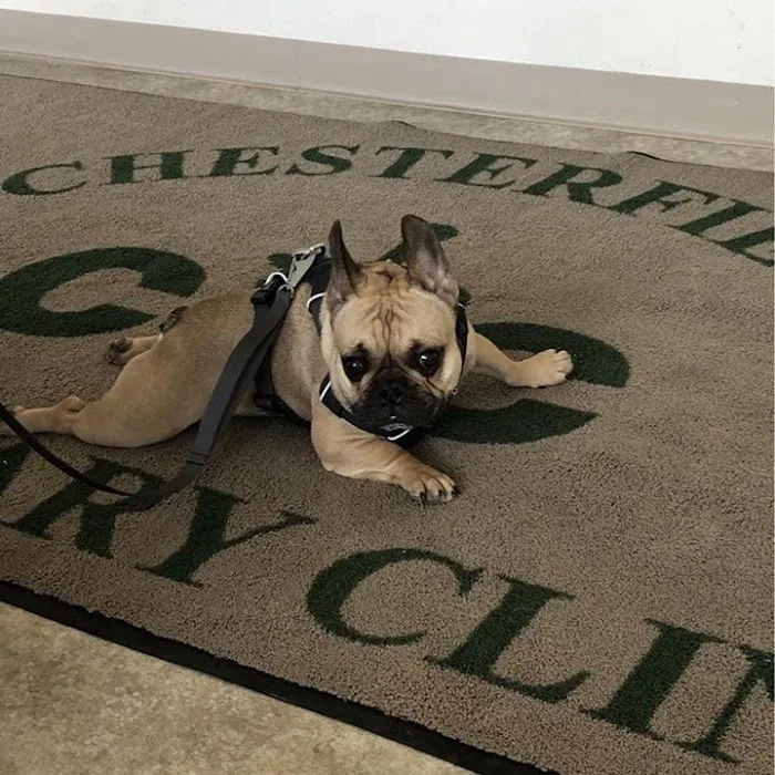 Chesterfield Veterinary Clinic Picture 5