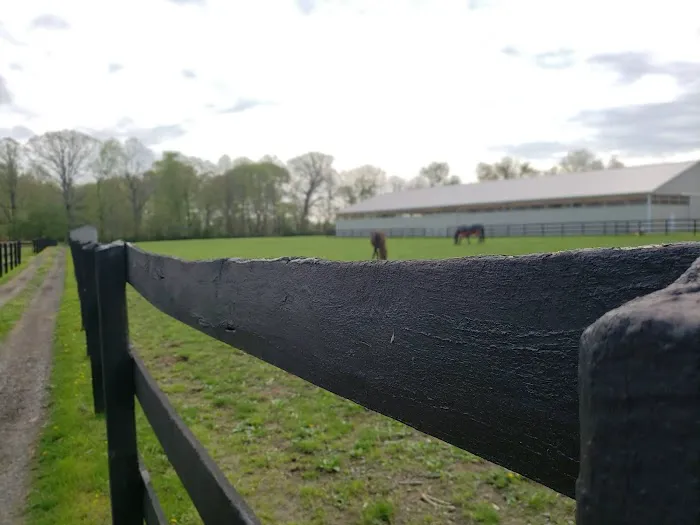 East Coast Equine Performance, LLC Picture 3