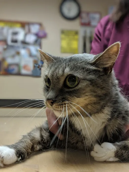 Dickinson McNeill Veterinary Clinic Picture 5