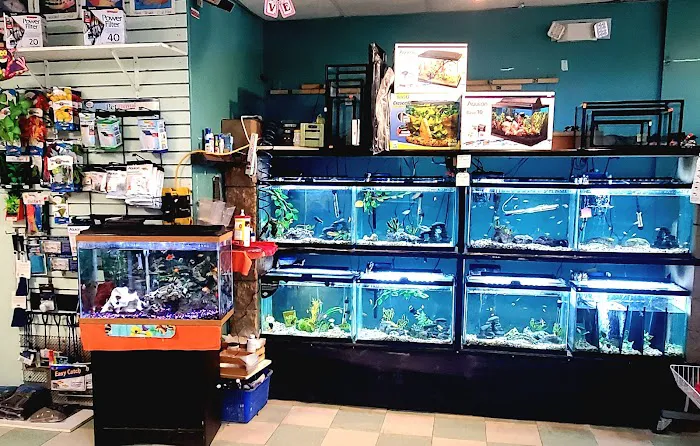 Critter Place LLC Picture 4