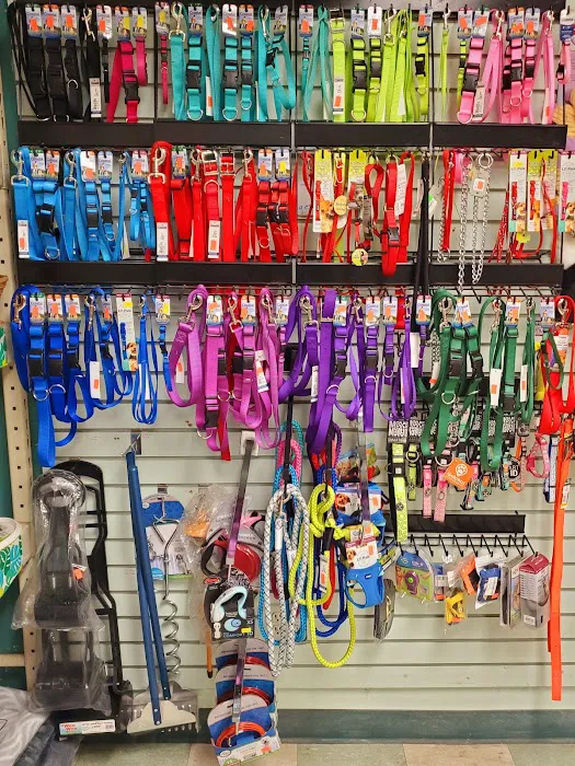 Critter Place LLC Picture 6