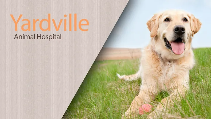 Yardville Animal Hospital Picture 3