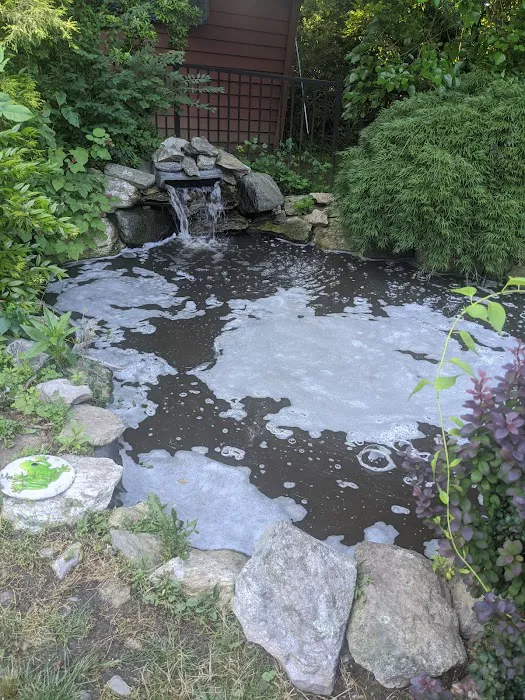 The Koi Story Fish Farm Picture 7