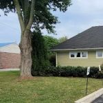 Phoenixville Animal Hospital: Thomson Carl DVM