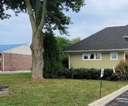 Phoenixville Animal Hospital: Thomson Carl DVM