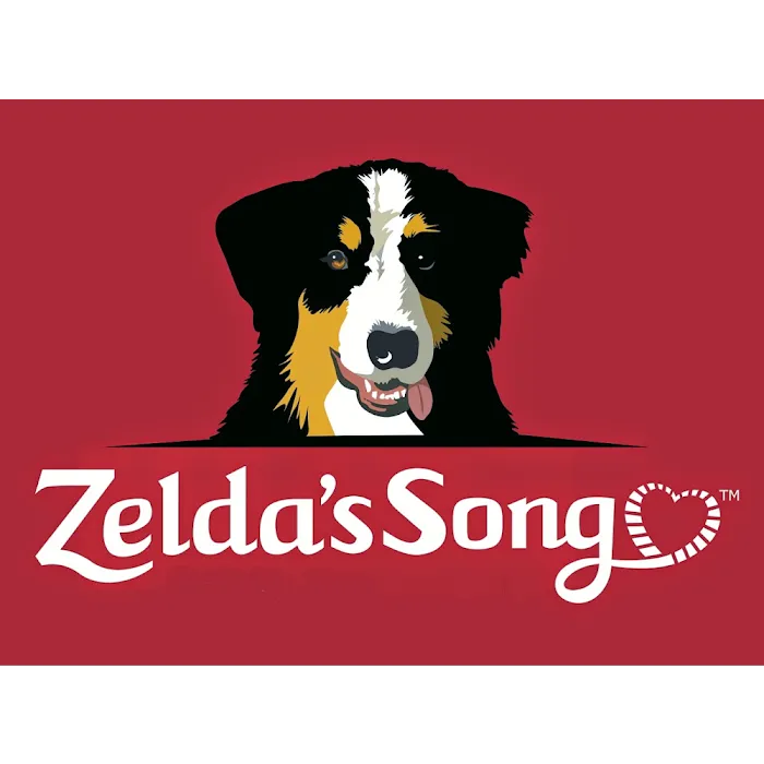 Zelda's Song Picture 10