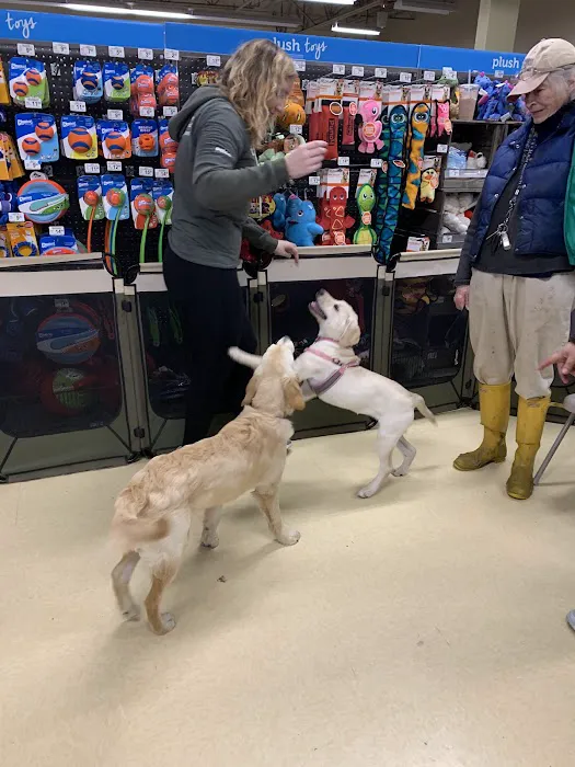 Petco Picture 2