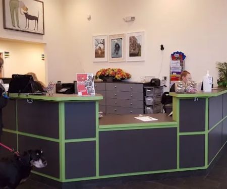 Phoenixville Animal Hospital