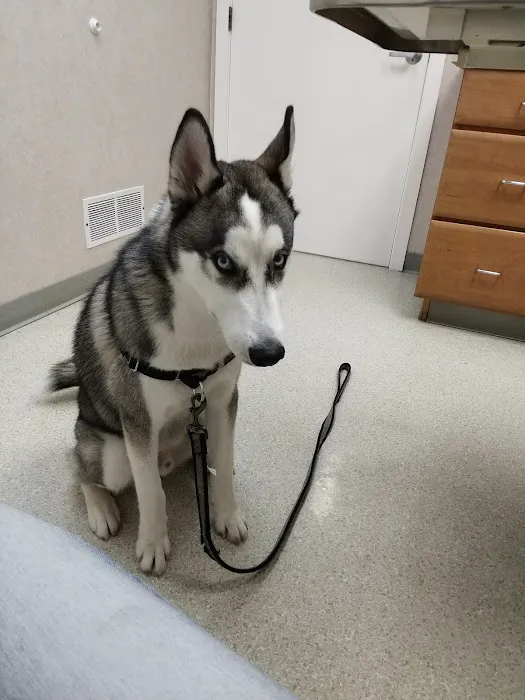 Animal Medical Center Picture 2