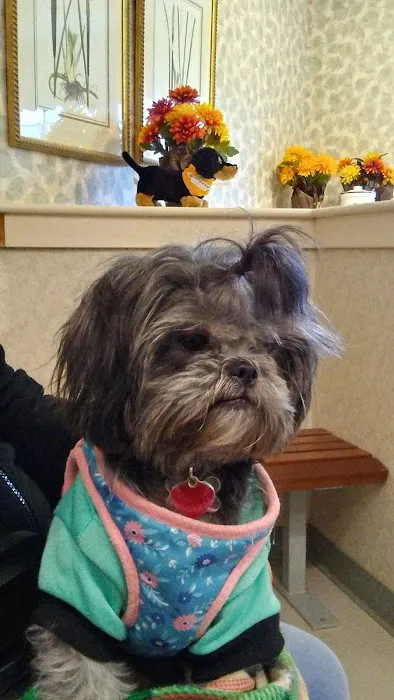 Animal Medical Center Picture 5