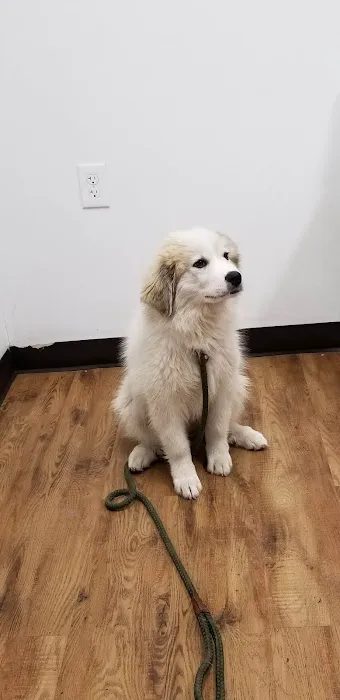 Animal Medical Center Picture 10
