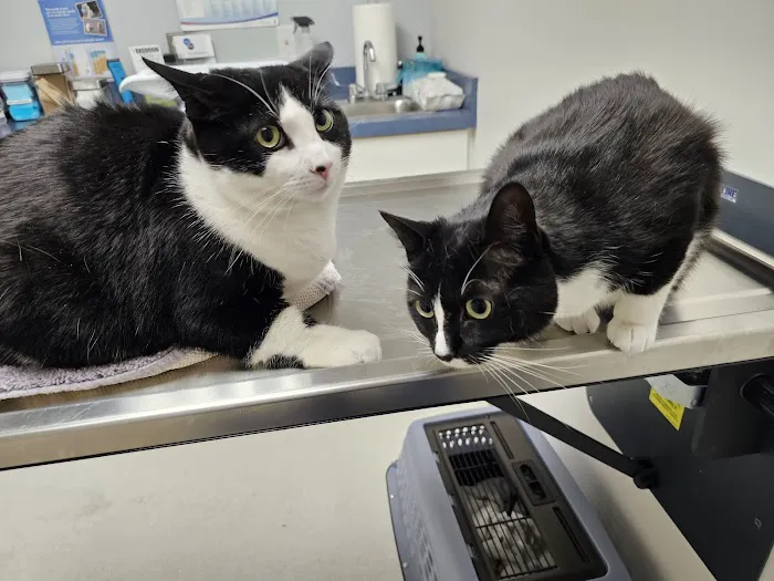 Royersford Veterinary Hospital Picture 8