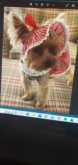 Lil Paws Couture Picture 1