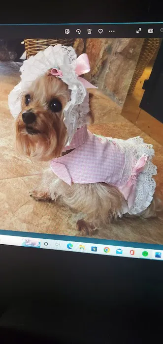 Lil Paws Couture Picture 10